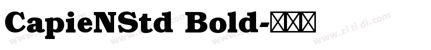 CapieNStd Bold字体转换